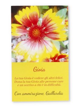 Carte dei Fiori di Campo - 6