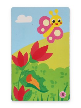 Carte Educative - Il Ciclo della Vita - 6