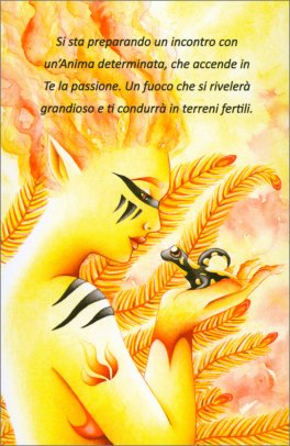 Carte Luce Naiadis® - 5