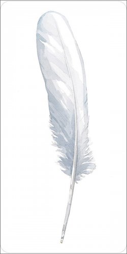 Carte per la Divinazione - Divine Feather Messenger - 4