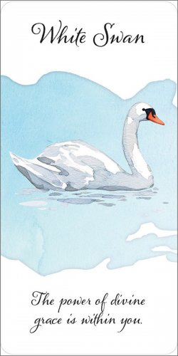 Carte per la Divinazione - Divine Feather Messenger - 5