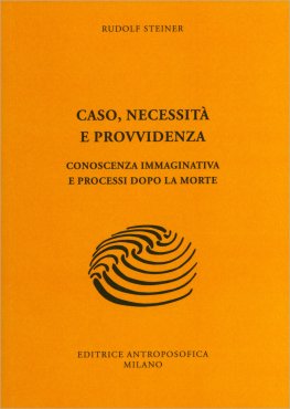 Caso, Necessità e Provvidenza — Libro - 1