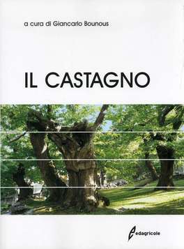 Il Castagno — Libro - 1