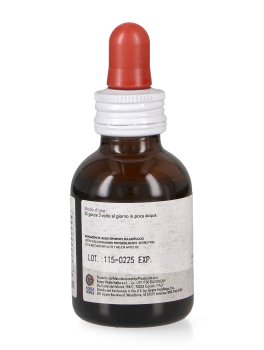 Castanea Composta - Integratore Spagirico di Castagno, Sorbo, Mirtillo e Ippocastano - 4