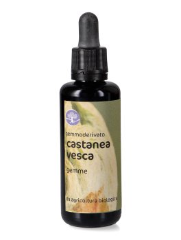 Castanea Vesca - Gemmoderivato Floripotenziato - Gemme - 1