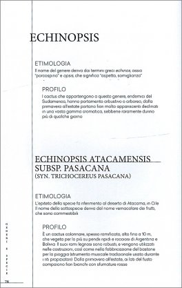 Catcus e Piante Grasse — Libro - 4