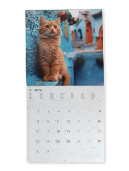 Cats - Gatti Calendario 2026 — Calendario - 2