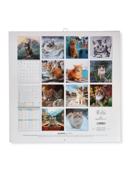 Cats - Gatti Calendario 2026 — Calendario - 3