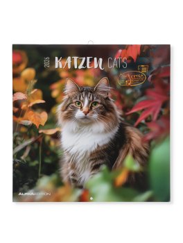 Cats - Gatti Calendario 2026 — Calendario - 1