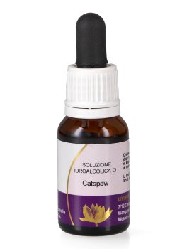 Catspaw - Fiori australiani - 1