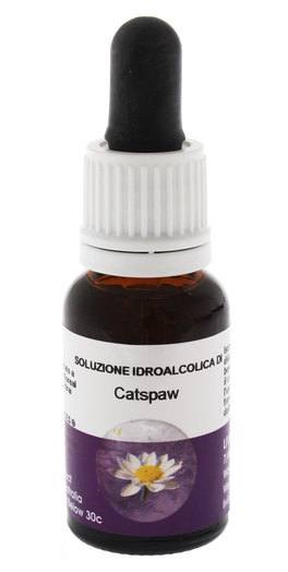 Catspaw - Fiori australiani - 1