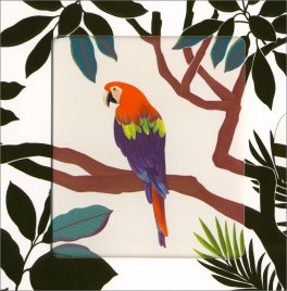 Cattura La Vista - La Giungla — Libro - 4