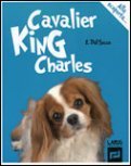 Cavalier King Charles