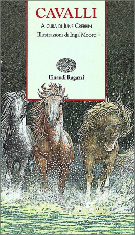 Cavalli — Libro - 1