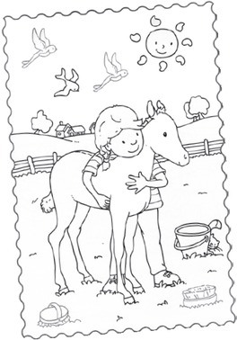Cavalli e Pony — Libro - 1