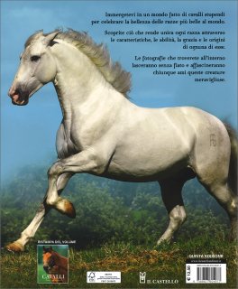 Cavalli Razze Origini e Curiosità — Libro - 2