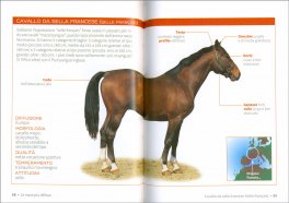 Cavallo - Il Manuale Completo — Libro - 3