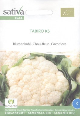 Semi di Cavolfiore Tabiro Ks - 1