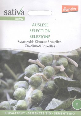 Semi di Cavolino di Bruxelles Selezione - 1
