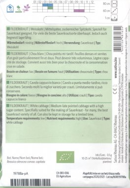 Semi di Cavolo Cappuccio Bianco Filderkraut - 2