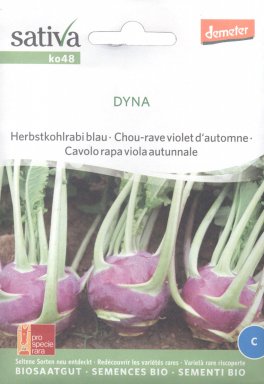 Semi di Cavolo Rapa Autunnale Dyna - 1