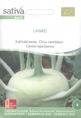Semi di Cavolo Rapa Bianca Lanro - 1