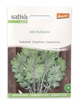 Semi di Cavolo Riccio Bio - Red Russian - 1
