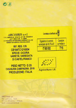 Ce184-25 - Cicoria Variegata di Castelfranco - 3