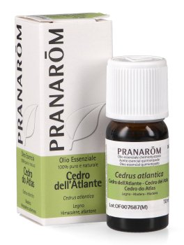 Cedro Dell'Atlante - Olio Essenziale - 1