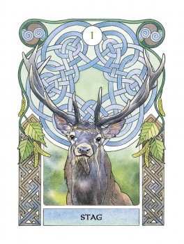 Celtic Astrology Oracle Cards - 4