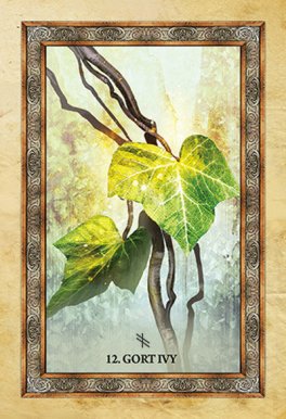 Celtic Tree Oracle - 5