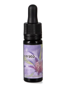 Cerato - Dose - 1