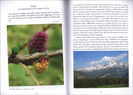 Cerato e la Farfalla Colibrì — Libro - 3