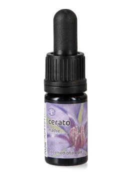 Cerato - Soluzione Madre - 1