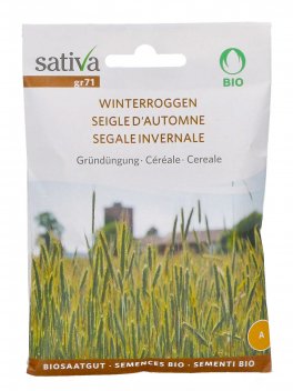 Semi di Cereale Segale Invernale - 1