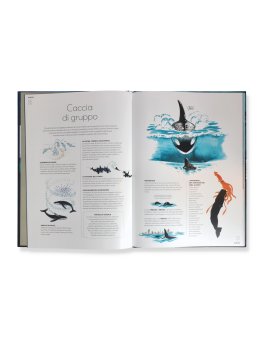 Cetacei — Libro - 3