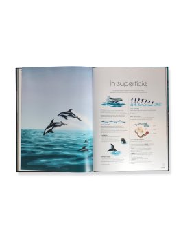 Cetacei — Libro - 4