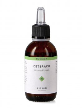 Ceterach - 3
