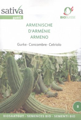 Semi di Cetriolo Armeno - 25 Semi - 1