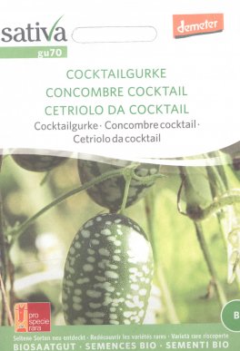 Semi di Cetriolo da Cocktail  - 25 Semi - 1