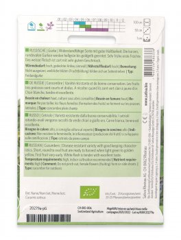 Semi di Cetriolo Russo Bio - 2