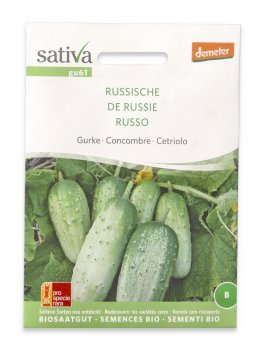 Semi di Cetriolo Russo Bio - 1