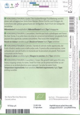 Semi di Cetriolo Vorgebirgstrauben - 25 Semi - 2