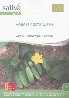 Semi di Cetriolo Vorgebirgstrauben - 25 Semi - 1