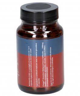 Chaga - 2