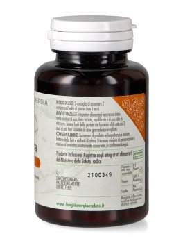Chaga Basic - 2