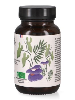 Chaga Bio - Capsule - 2