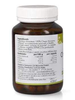 Chaga Gold - Chaga e Acerola - 3