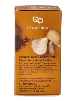 Chaga - MicoEST - 3