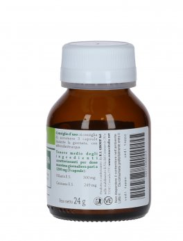 Chancapiedra - 2